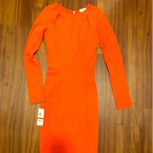 NEVER WORN w/ TAG BarII long sleeve midi dress